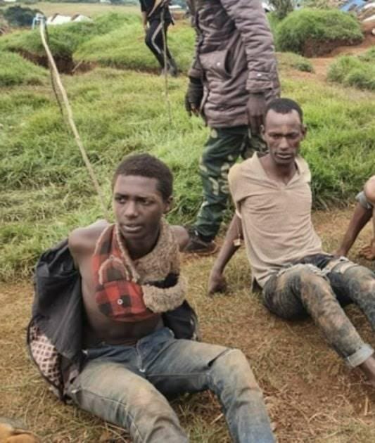 ElmaBetonFatshi's tweet photo. 🔥🔥🔥🔥🔥🔥🔥🔥🔥🔥🔥🔥🔥🔥🔥🔥🔥🔥🔥🔥🔥🔥🔥🔥🔥🔥🔥🔥
Malgré l’envoie des renforts par le criminel @PaulKagame , les miliciens ne tiennent pas face aux fortes frappes de #Wazachoux, nous vous annonçons la libération de #Businga et #Ngomo!!! https://t.co/zzDFcBvNma