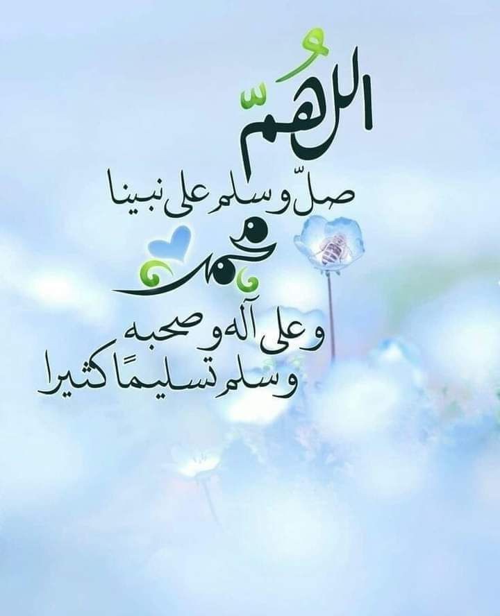 م/احمد الشلفي tweet media