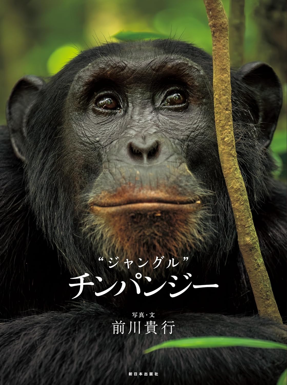 前川 貴行 | 写真素材・ストックフォトのアフロ
