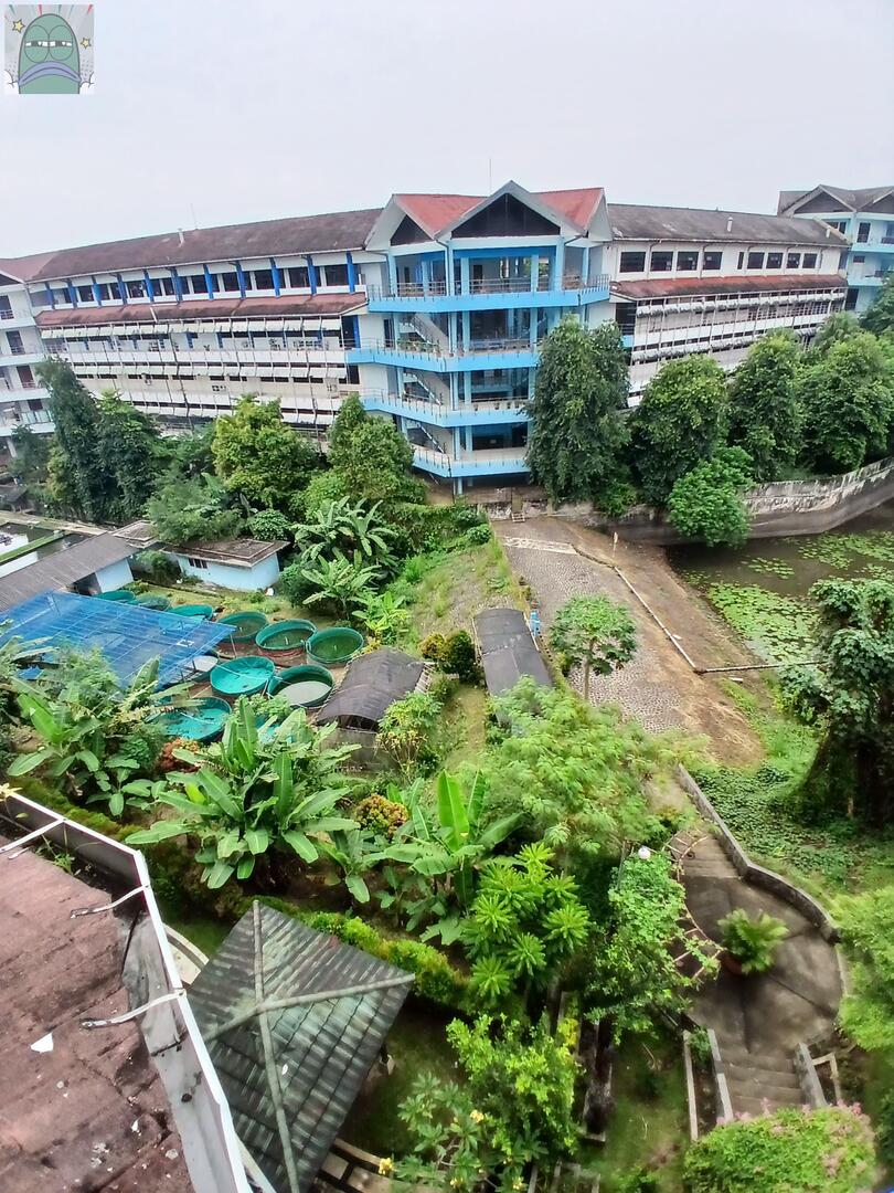 Tanyarlfes tweet media