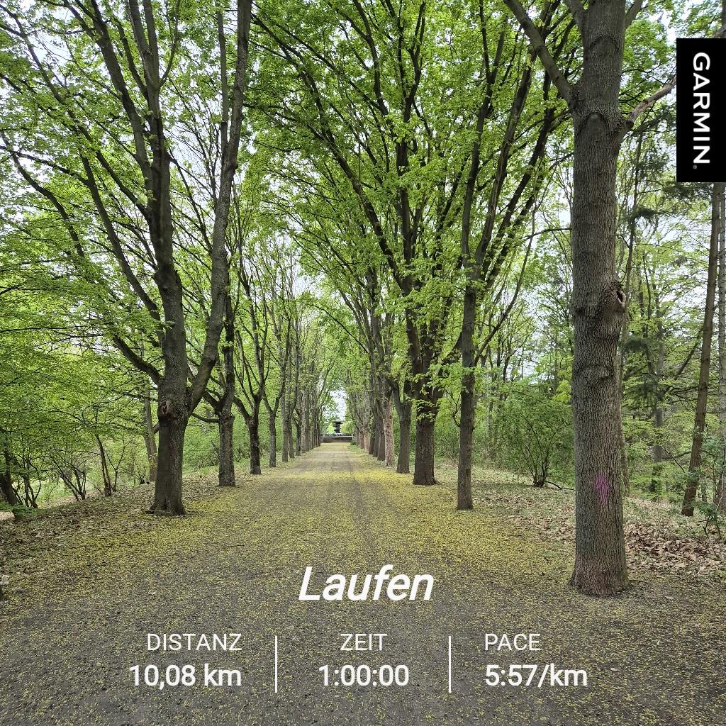 crispyroots's tweet photo. Heute seit langem mal wieder in meinem Lieblingspark laufen gewesen und ein paar Höhenmeter gemacht. Hat richtig Spaß gemacht. 😊
#sportsbubble
#garmin #beatyesterday https://t.co/dhzPqme2sB