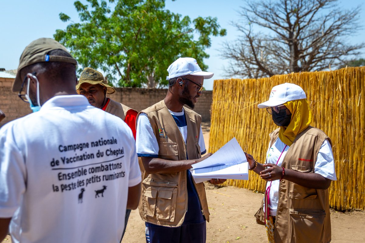 ActionaidSN's tweet image. @ActionaidSN et @CorpsafricaSen s'unissent avec les services de la Santé et de l'élevage de Kaffrine pour lutter contre la Fièvre Hémorragique Crimée Congo en  désinsectisant les sites à risque.
@StartNetwork @ActionAidUK
#FHCC #StartFund #WeAreActionAid #ResilientCommunities