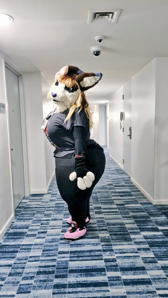 Today I'm heading to <a href="/eventopatas/">Evento Patas</a> furry convention in Brazil!!! 💜
I'll be posting pics soon!

#sallylauderdale #ssbbw #bbw #fatfurs #fatfursona #fursuit #fursuiter #furry #furryfandom #furrybrasil 🇧🇷