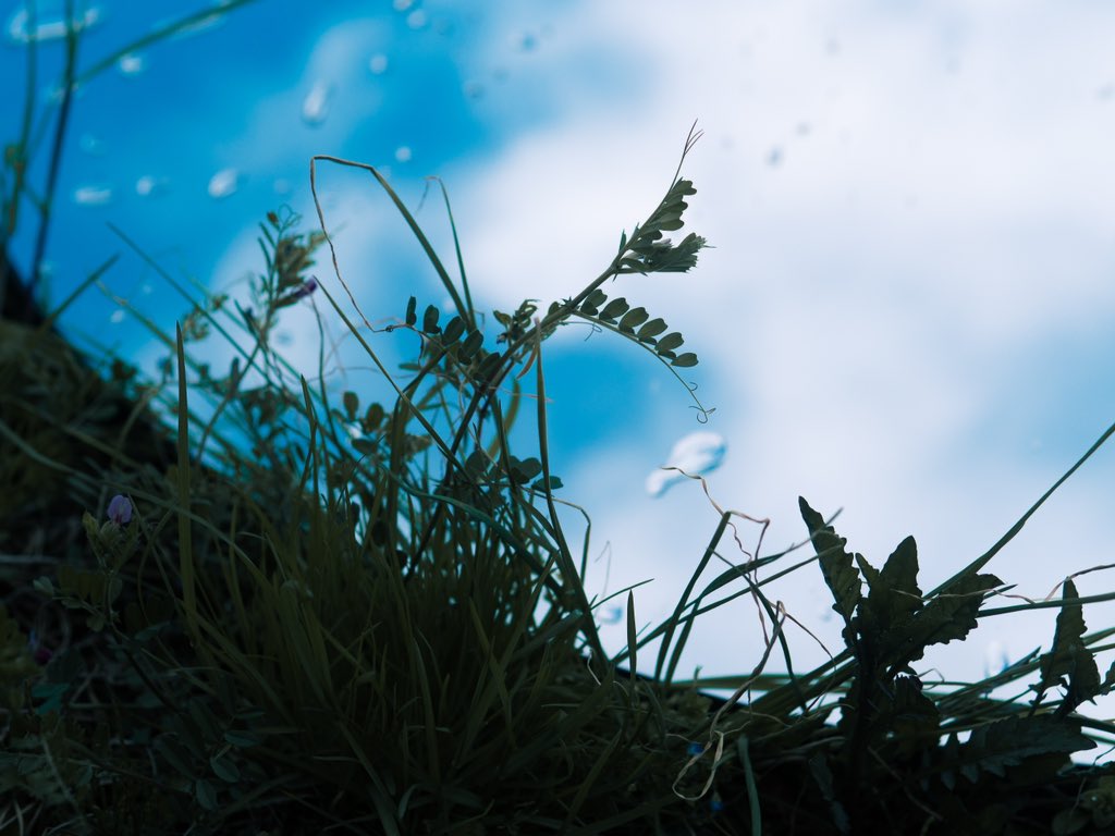 4/20(日)、発表が2つあります。
Two drops this Sunday. Stay close.
#PDLS