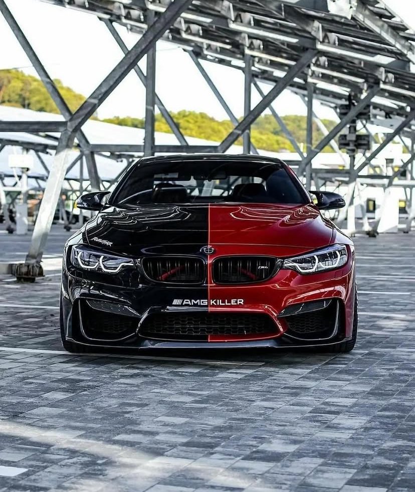 Good morning Habibiiis  💚