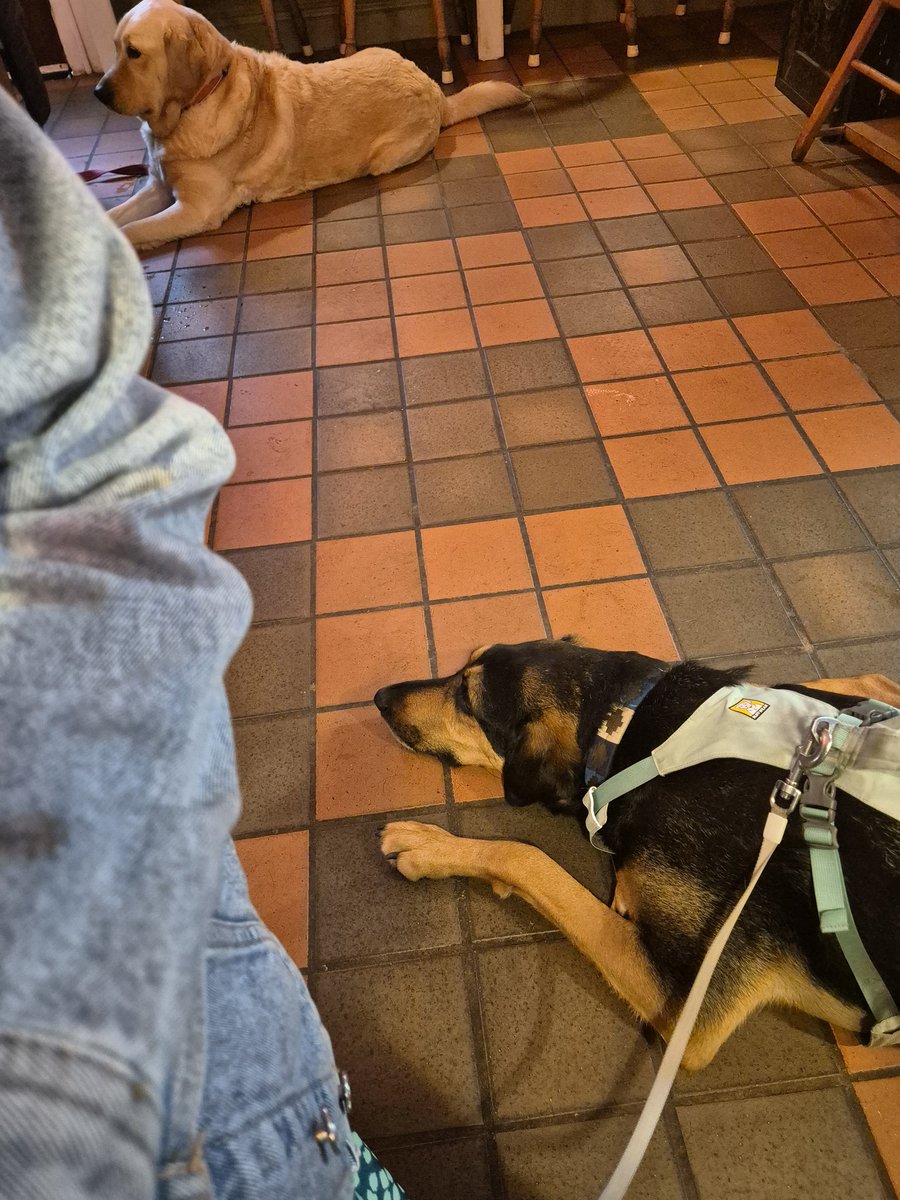 Family visiting, followed by coffee and cake at the lovely <a href="/OliversSherbs/">Oliver's Coffee House 💙</a> 🐶☕️
