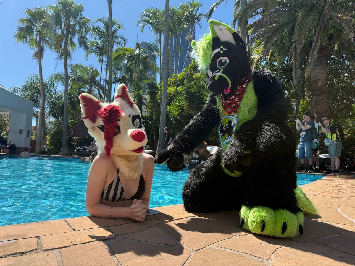 Whufffluff's tweet image. WHAT ARE THOSE?!?!

With 🐕: @NyxCoyote 

📸: @/rawrsy on TG

#FursuitsFriday #FursuitFriday #Furry