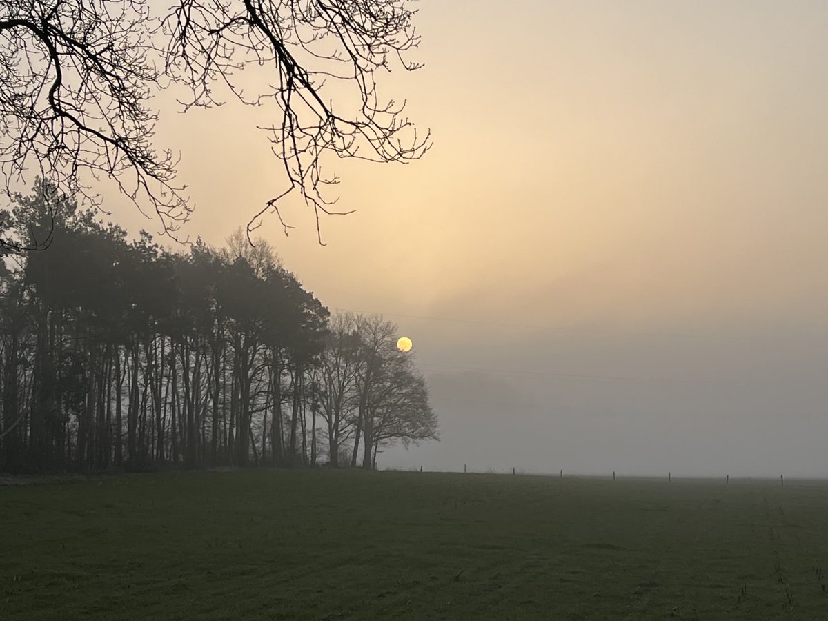 jos weerkamp tweet media