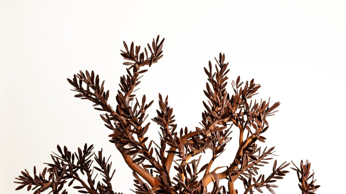 Pâques: de Ducasse à Pierre Hermé, zoom sur neuf créations sucrées à ne pas manquer
l.bfmtv.com/oJrK