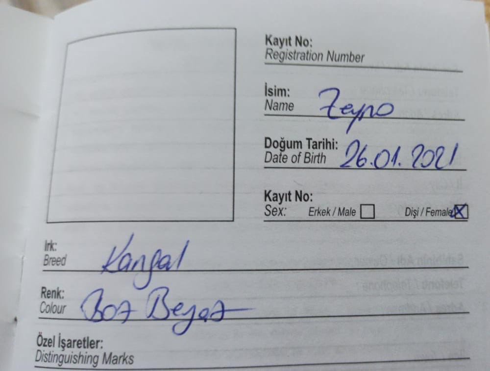 Milletin adı uçaklara, yatlara verilirken benim adım kangala verilmişti.😄