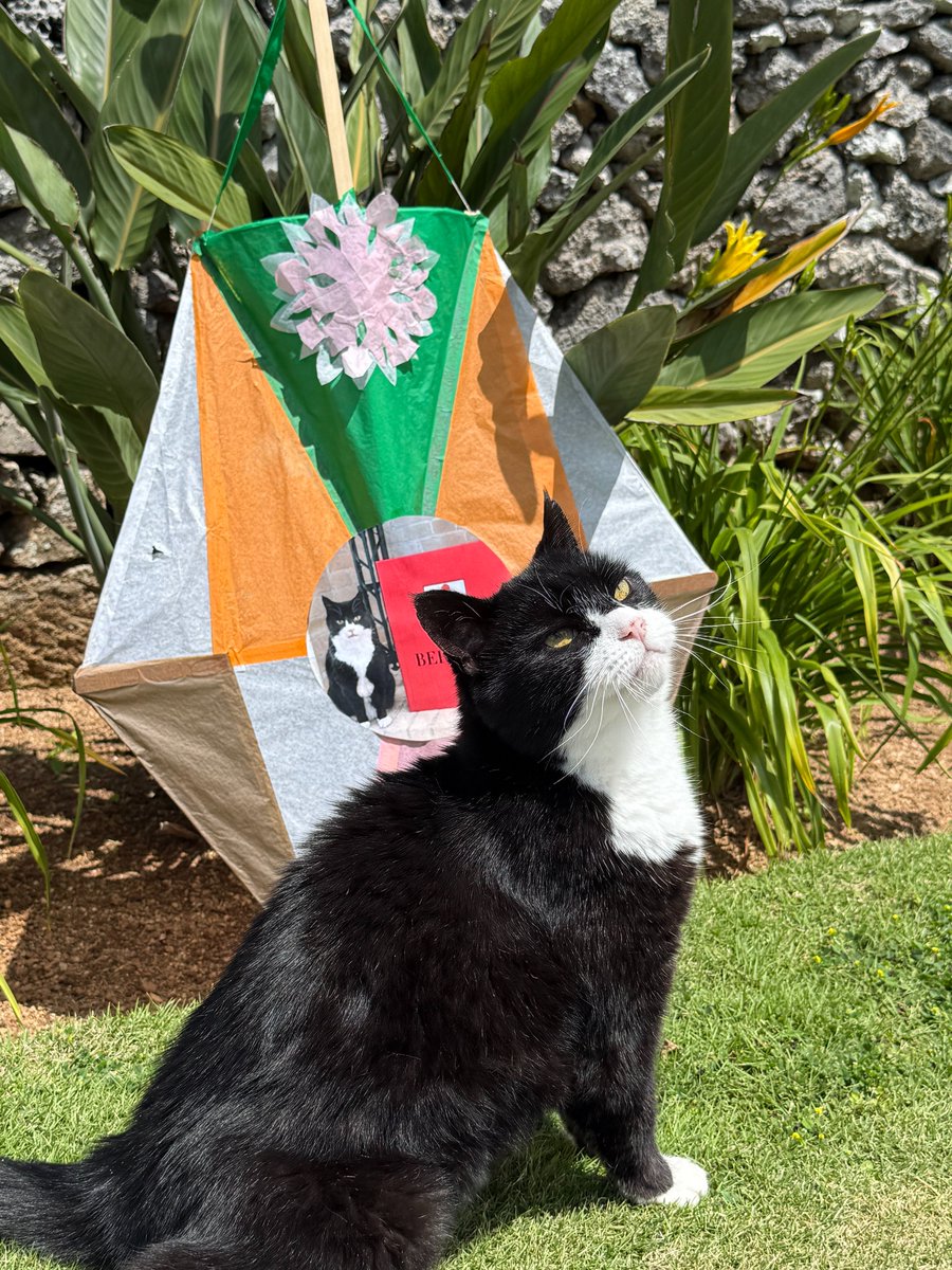 DiploMog's tweet image. Here's one I made earlier. Ready to fly my kite on Good Friday - a tradition in Bermuda. Pulling the strings in Government House again...
#Bermudakitemaster #Chatmore