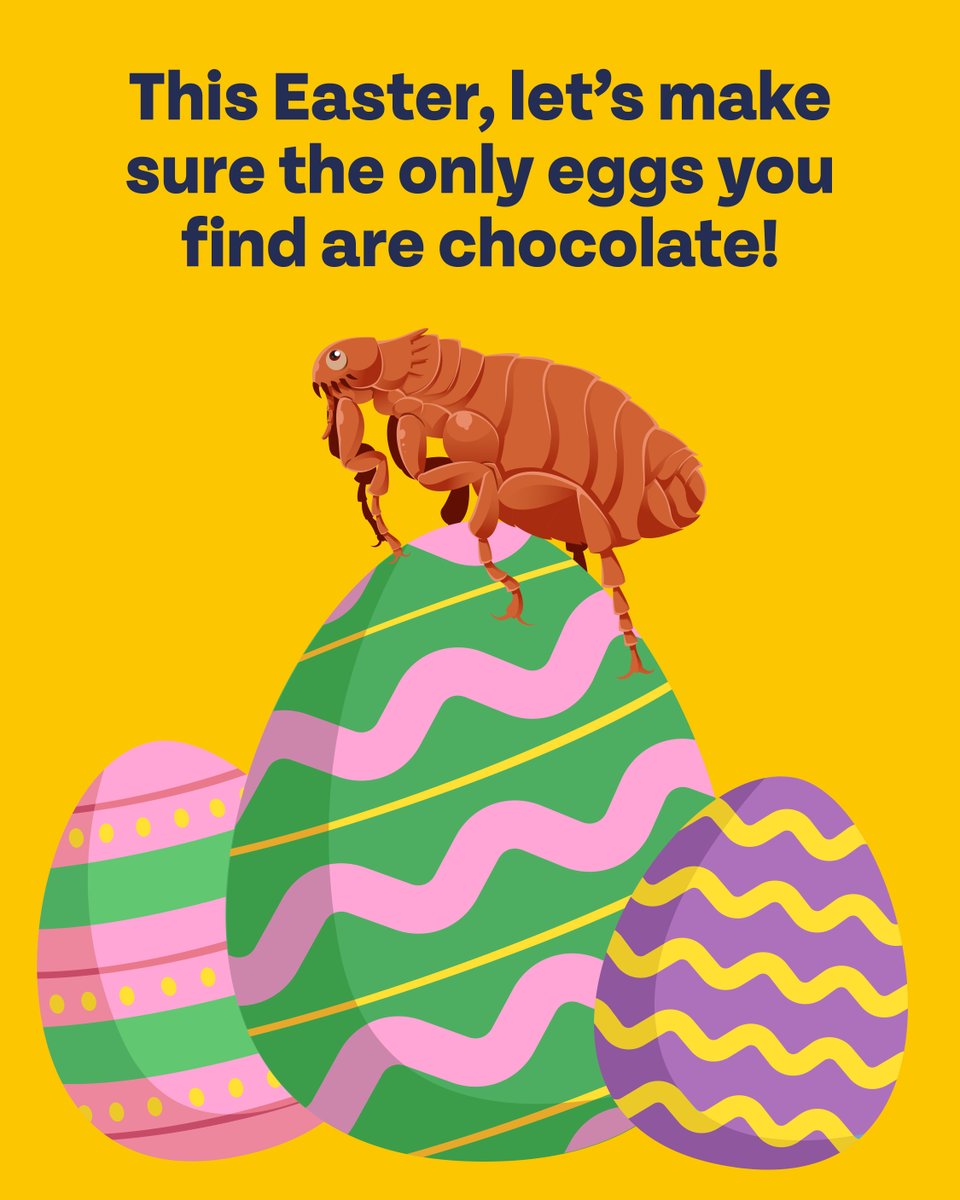 With Bob Martin, you can keep parasite eggs out of your home this Easter and enjoy an itch-free spring! Protect your pets and keep your home happy, healthy, and parasite-free.