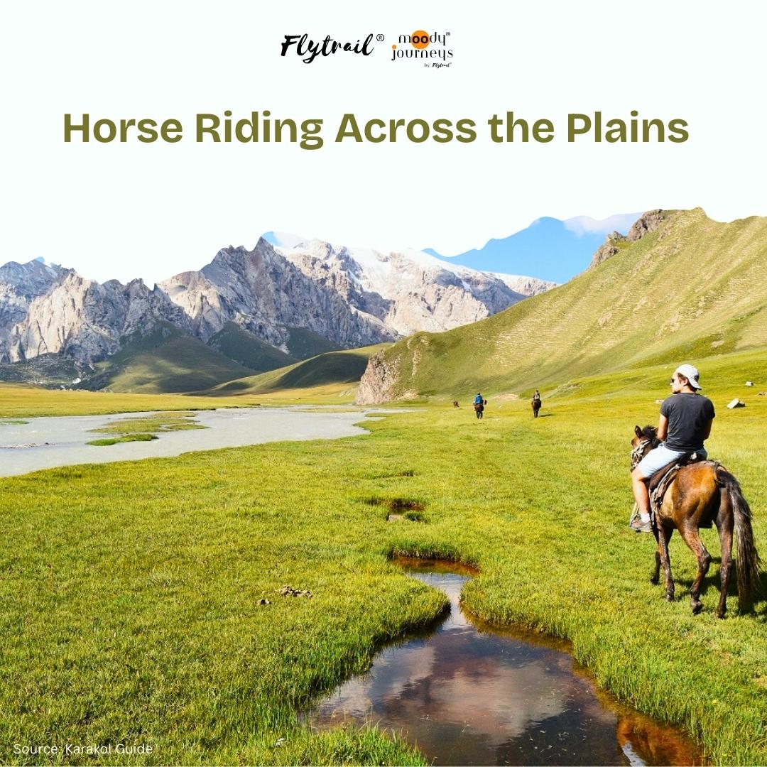 FlyTrail tweet media