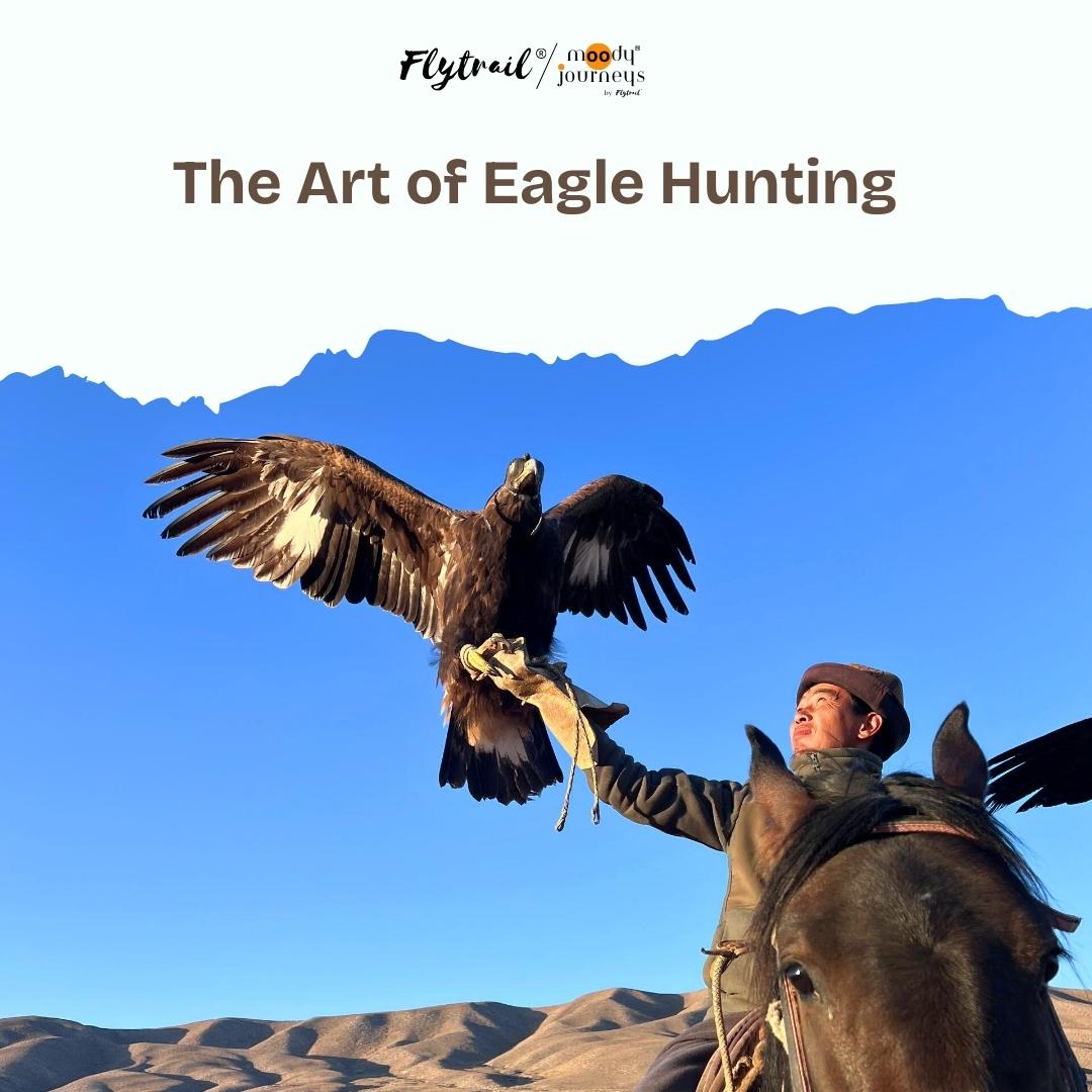 FlyTrail tweet media