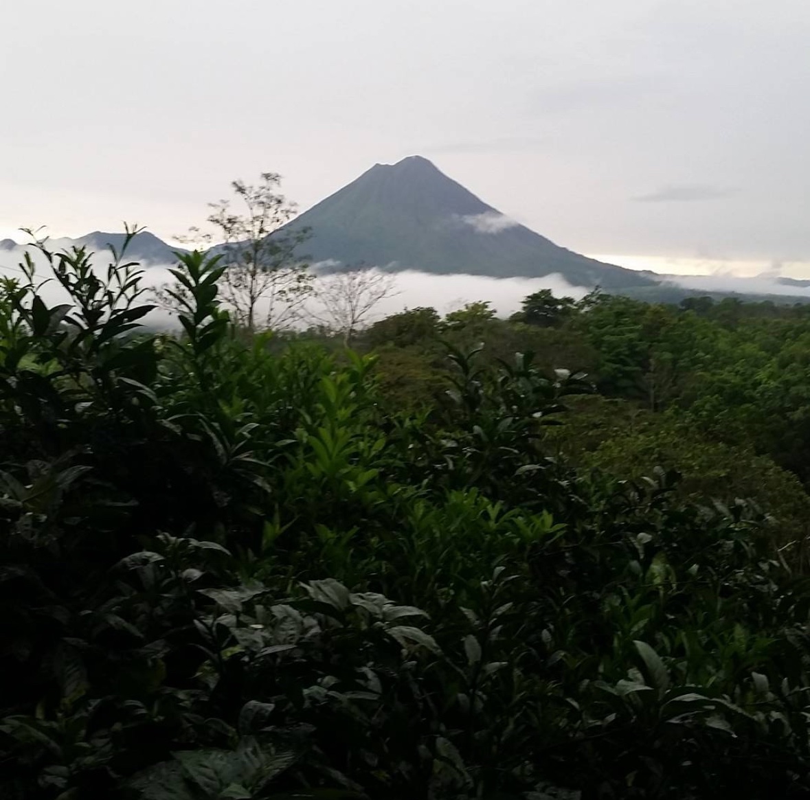 valkerie777's tweet photo. #costarica throwback and the view of #arenalvolcano we had for seven days. Absolutely stunning natural beauty. Canβt wait to go back! https://t.co/lYrliqcPkG