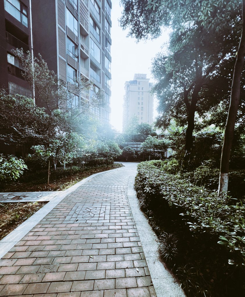 烟雨揍翘臀 tweet media