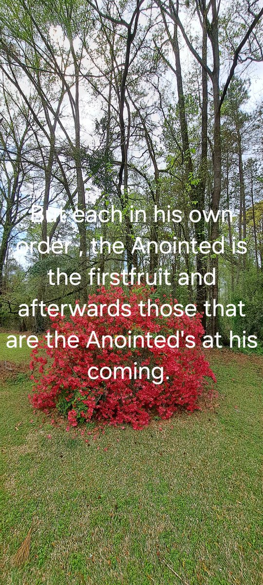 SonnySemme's tweet image. 100 " sure mercies of David " #firstfruit of #theresurrection #eternalcovenantofpeace #orderofMelchizedekforever