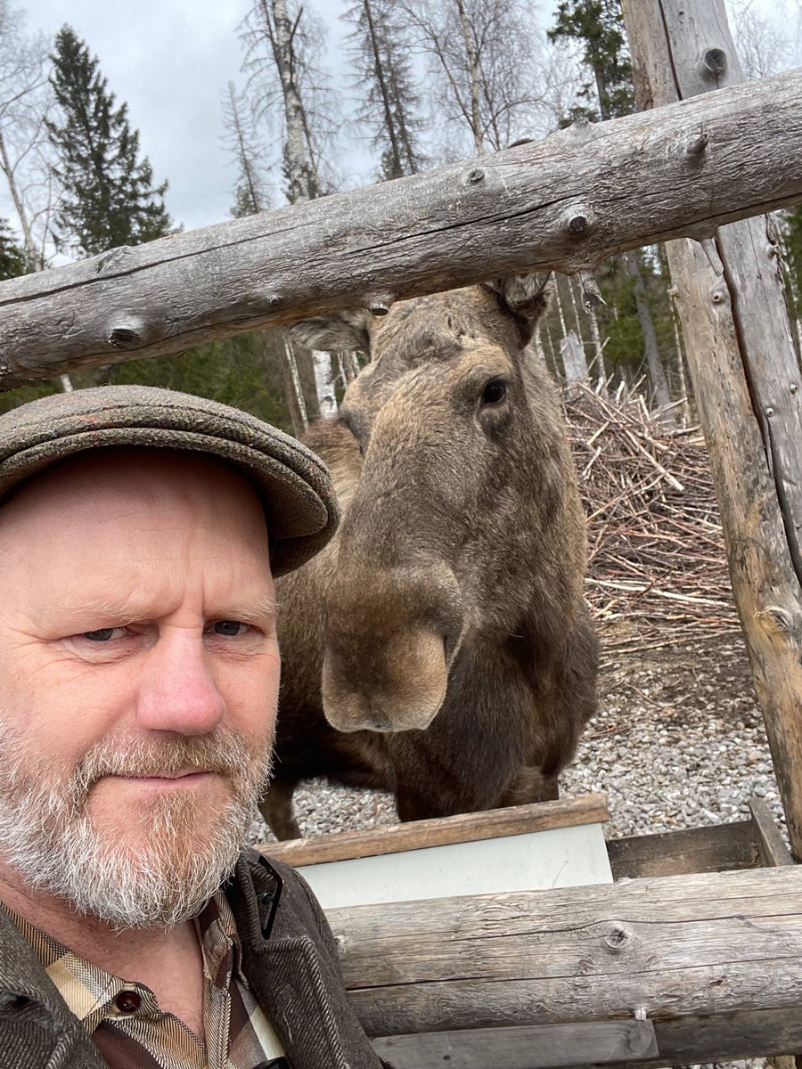 I detta NU är kollega Jippen ute och träffar Norrbottens nya hockeyorakel, älgen Udda. Oliiiidligt spännande!