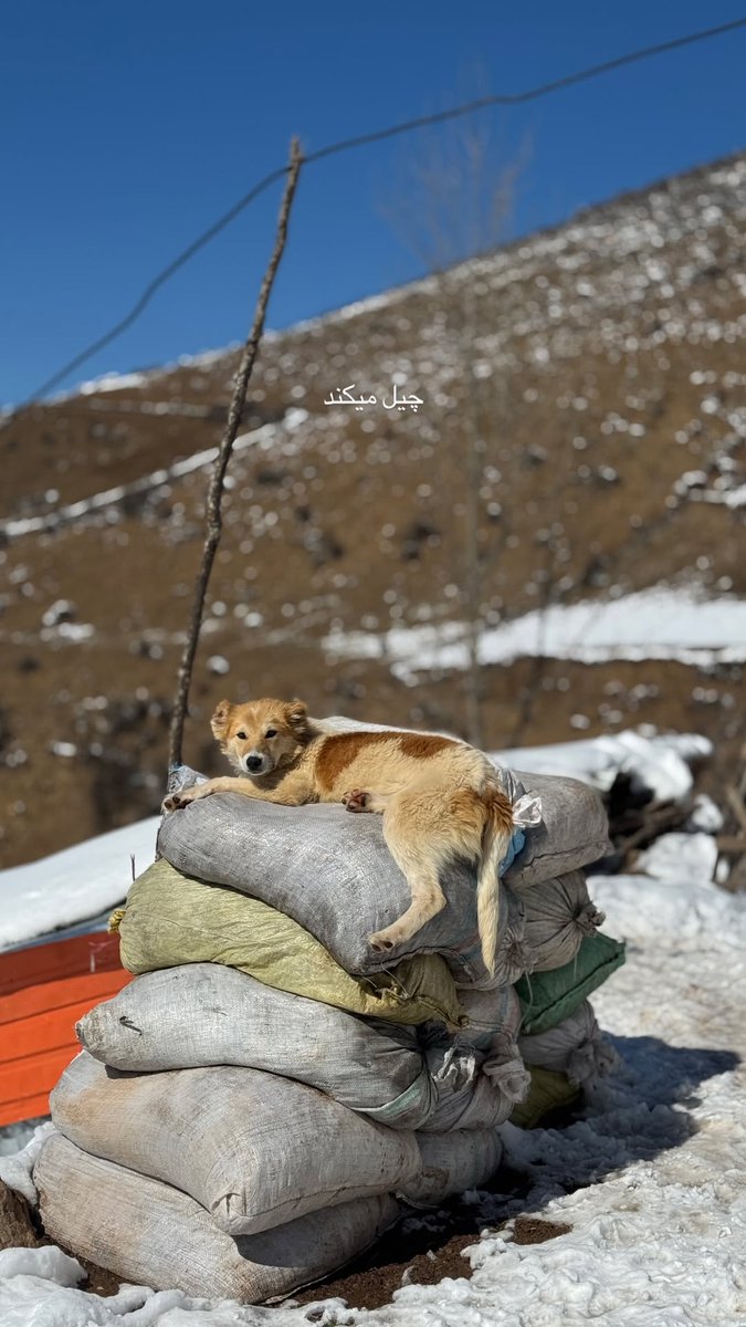 خواب به من نیومده