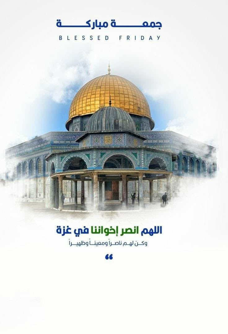 assofia3's tweet photo. https://t.co/Ux3AKqU4w5