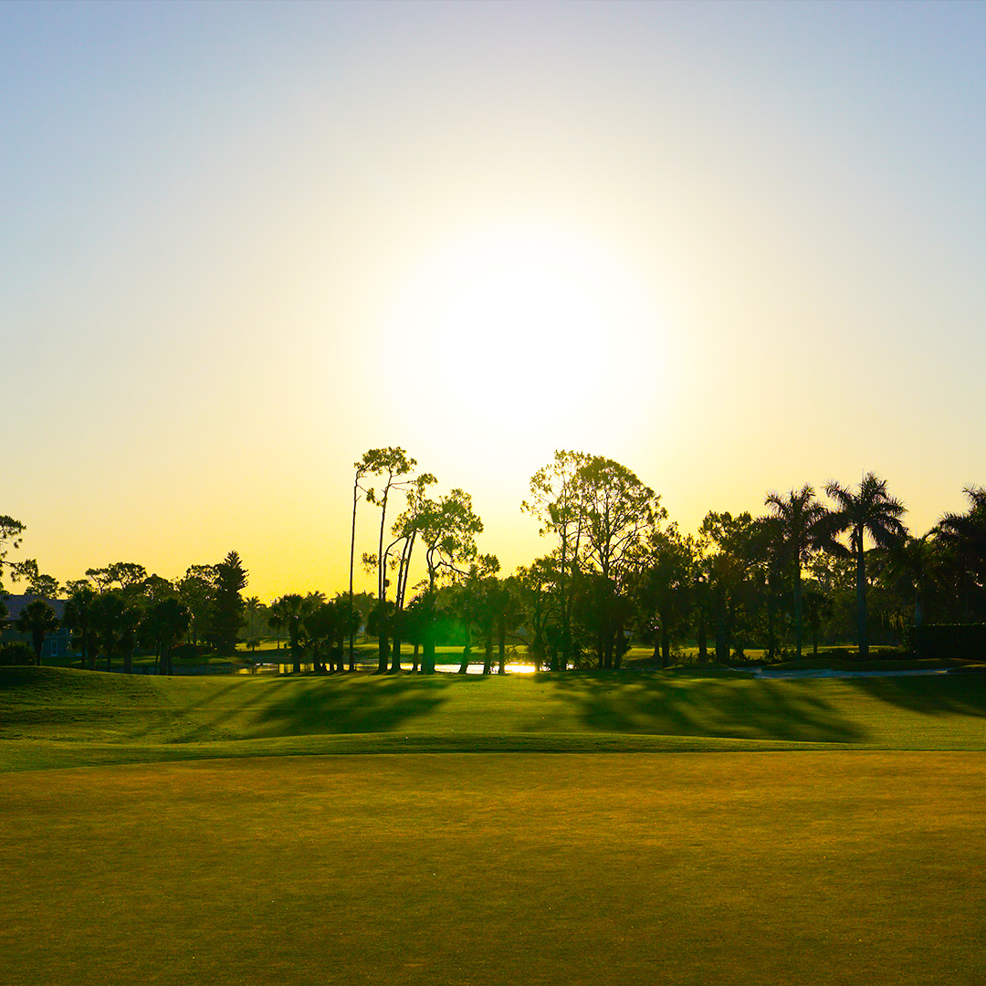 📸📸 before the action starts! 🌿⛳️

📶 » ivylg.co/WGOLF25Stats
