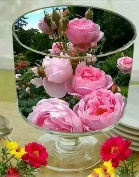 مسا ءالود 🌹🌹🌹🌹🌹🌹🌹🌹❤❤❤🫶🫶🫶🫶🤲