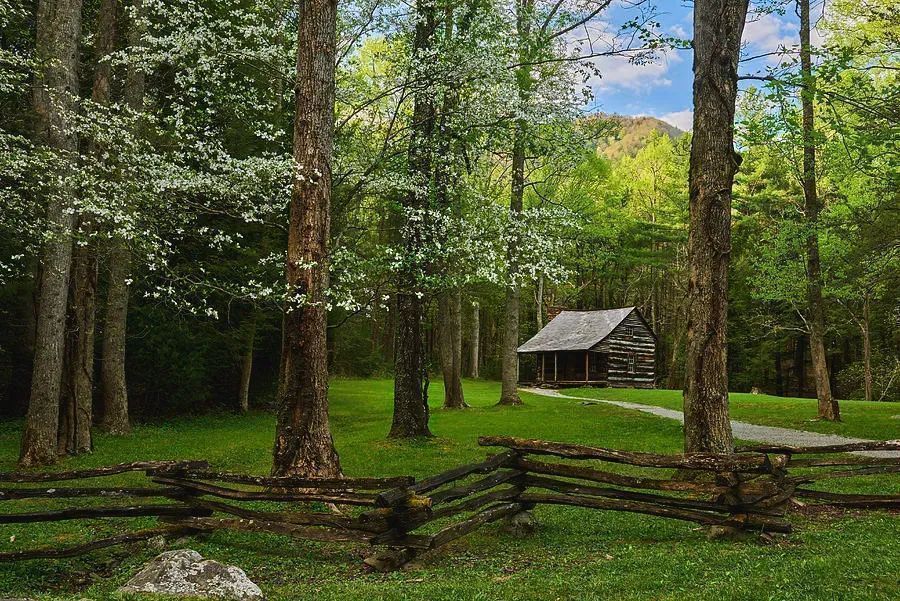 ImagesByJonEvan's tweet photo. Photography from Smokey Mountain National Park is a great way to decorate your walls and add interesting and unique textures to your space #photography #homedecor #decorate #inreriordesign #artlover #vacation #naturelover #travel #tennessee #smokyMountains https://t.co/sorn0HsH30 https://t.co/xYzUChxkJd