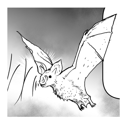 ※修正
コウモリの翼は(小さい絵なので大まかですが)こうです。 