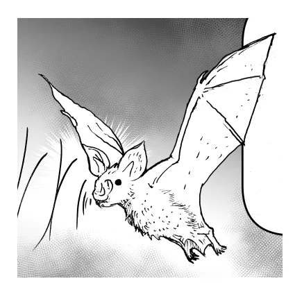 ※修正
コウモリの翼は(小さい絵なので大まかですが)こうです。 