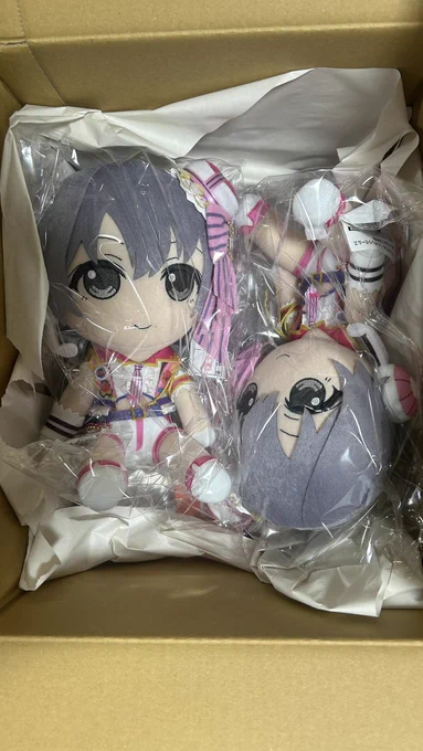 おとぬい、ついに我が手に