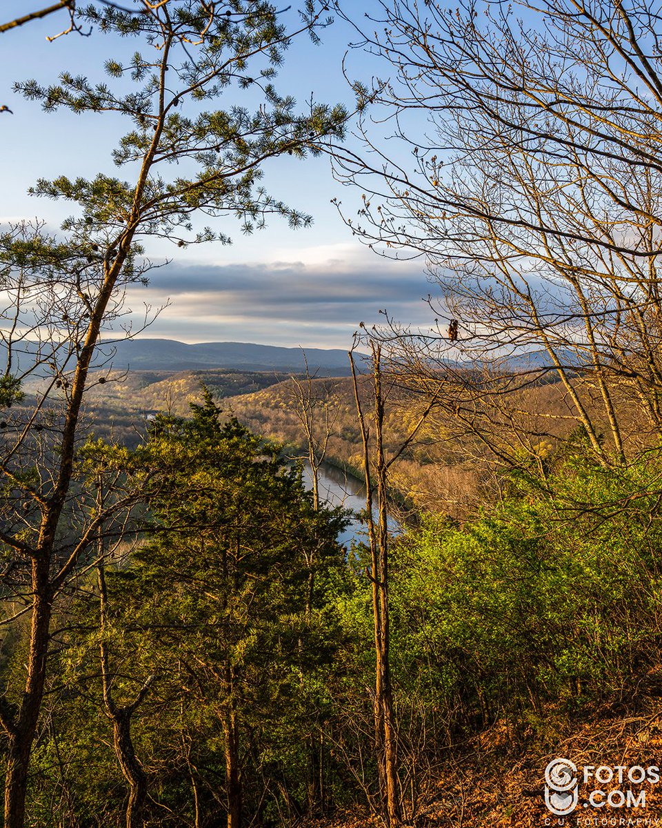 CUfotog's tweet photo. Golden hour hits different in the mountains.
The Potomac winding below, the world still quiet. Just me, the trees, and the first light.
📍Green Ridge State Forest
#Sunrise #PotomacRiver #MountainViews #NatureEscape #GreenRidge https://t.co/QZryr6Eop5