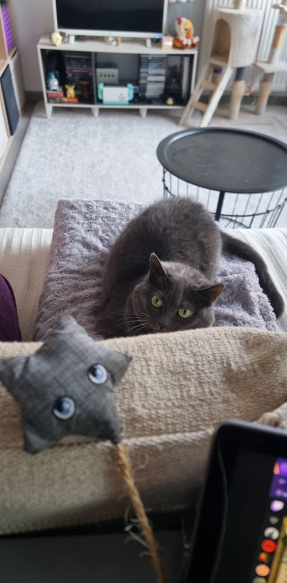 DrMeumeu tweet media