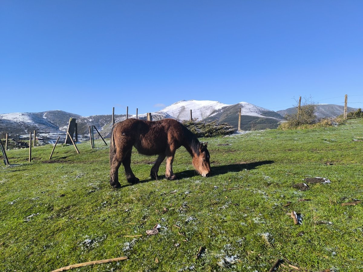 OrtigosaTrail's tweet photo. Hola,¿qué tal estamos? Nosotros hicimos ayer el recorrido largo para inspeccionar. Estaba de 10. Nieve, mucho barro, vamos todos los ingredientes para gozar 😉. ¿Os habéis apuntado ya? Venga, vamos 😂. Pasar buenos días de fiesta 🥳. Un 🫂 y un 😘 para tod@s. https://t.co/4TSs8UCUy4