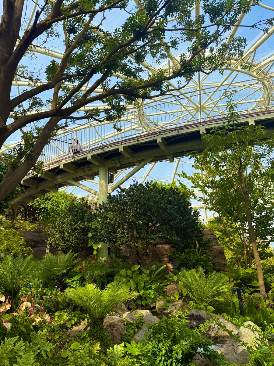 우리집 가나디의 화려한 외출 ⁽̨̡ ¨̮ ⁾̧̢🌷