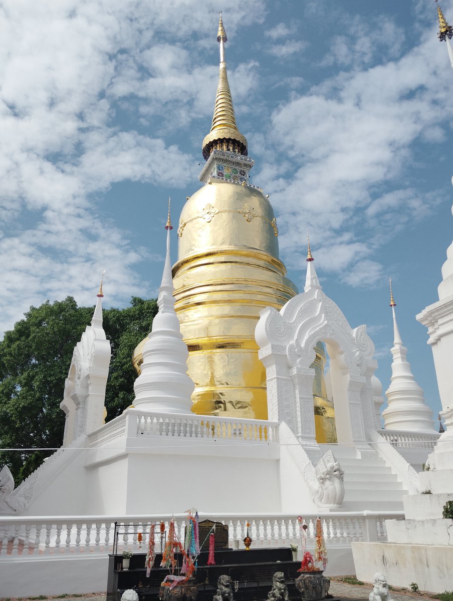 I'm a traveler tweet media