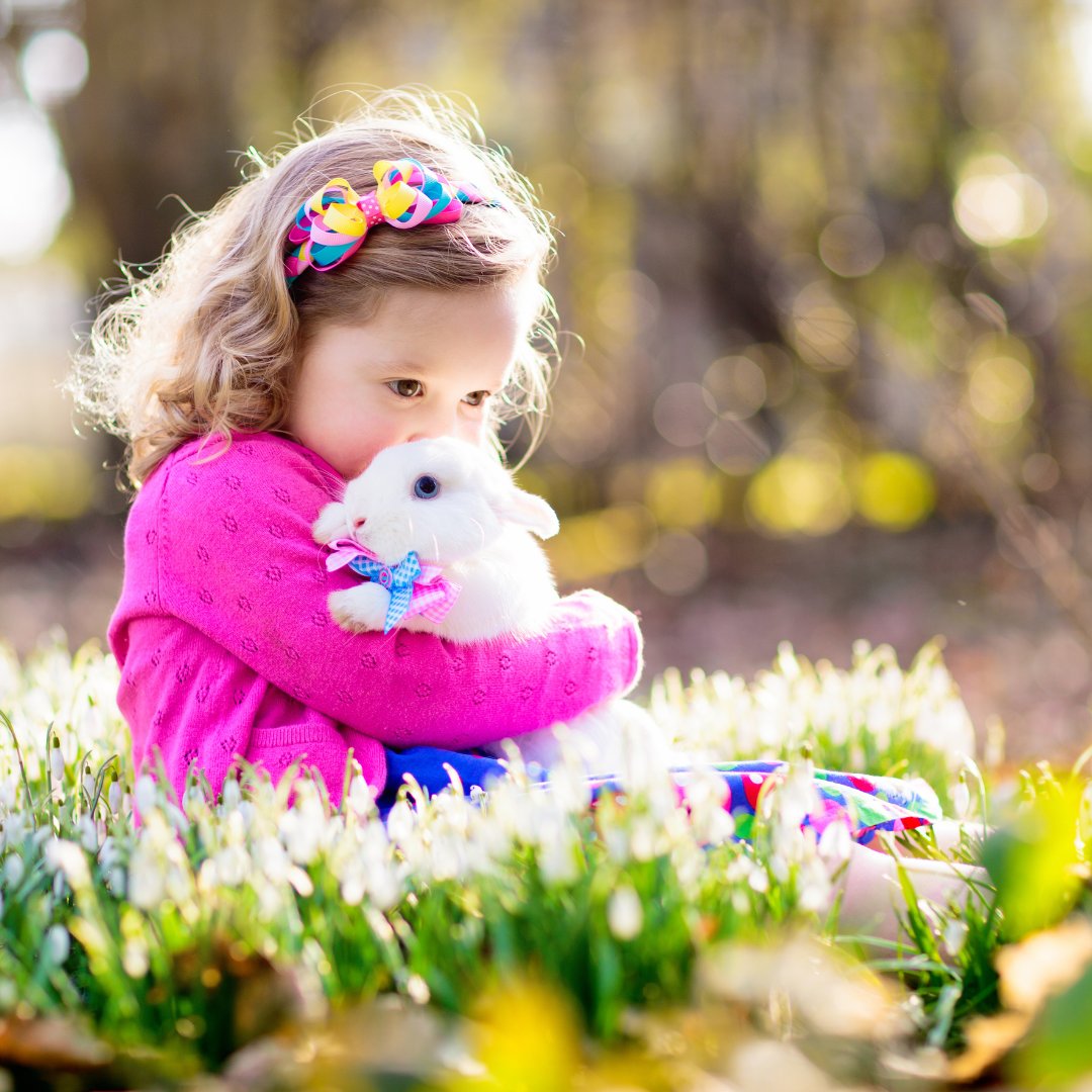 DDenisonRealtor's tweet image. As we hop into the weekend, what&apos;s one thing you&apos;re dreaming of in your future home that would make holidays even more special?  Let&apos;s talk dreams! Diane Denison, at 1st United Realtors Oklahoma Inc. at (405) 919-7457  #ThursdayThoughts #EasterWeekendVibes #DreamHomeGoals