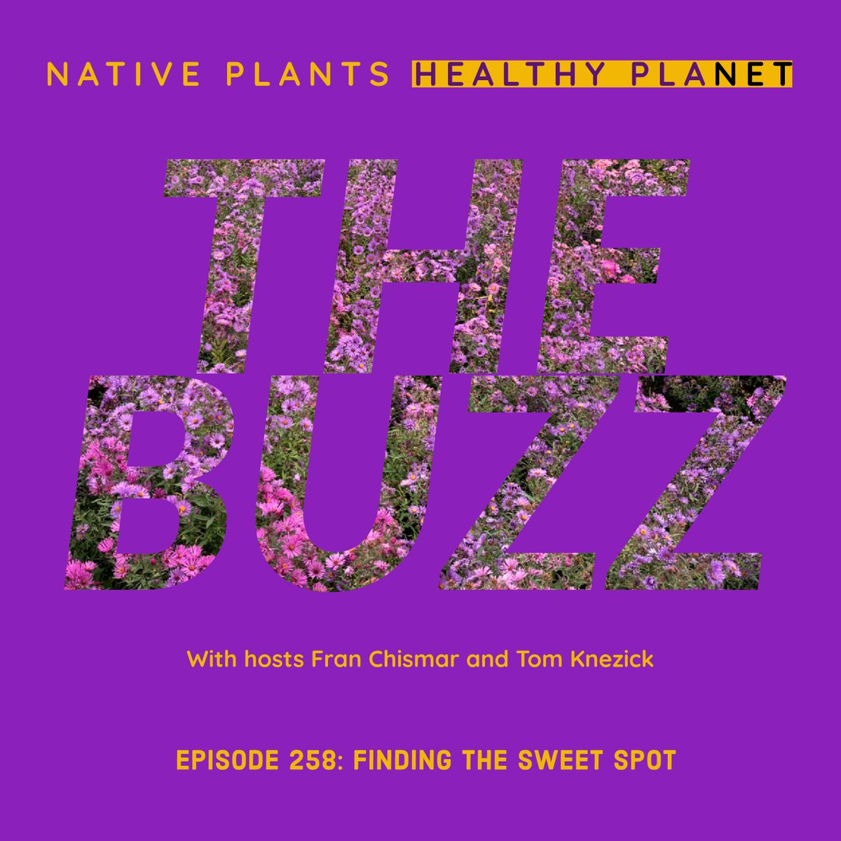 Tom &amp; <a href="/nativeplantfran/">Fran Chismar</a> are back w/a brand new episode of The Buzz. Why are Tom &amp; Fran NOT in the same room? “That’s Hot” recalls a harmless prank. “This or That” builds roadways to new worlds. Did we give you a shoutout this week? bleav.com/shows/native-p…