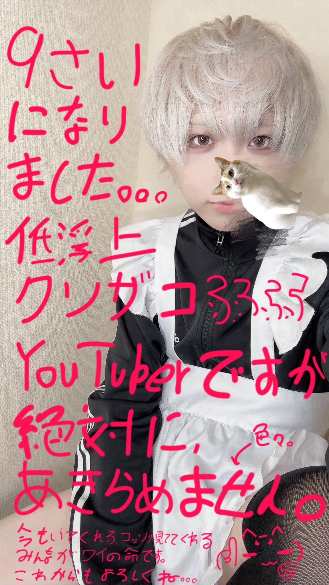 ねこまんま (@neko_07manma) / X