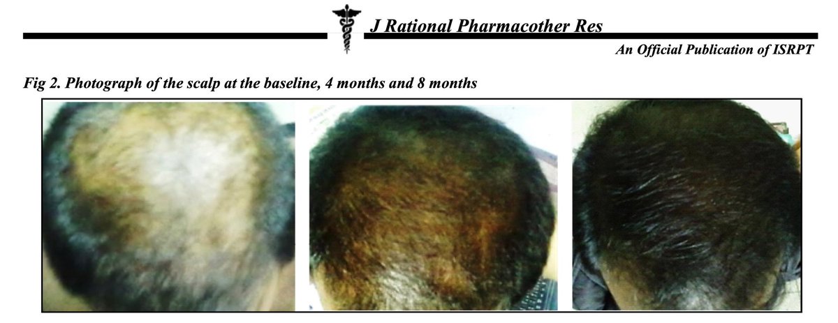 _aestheticprimal_ tweet media