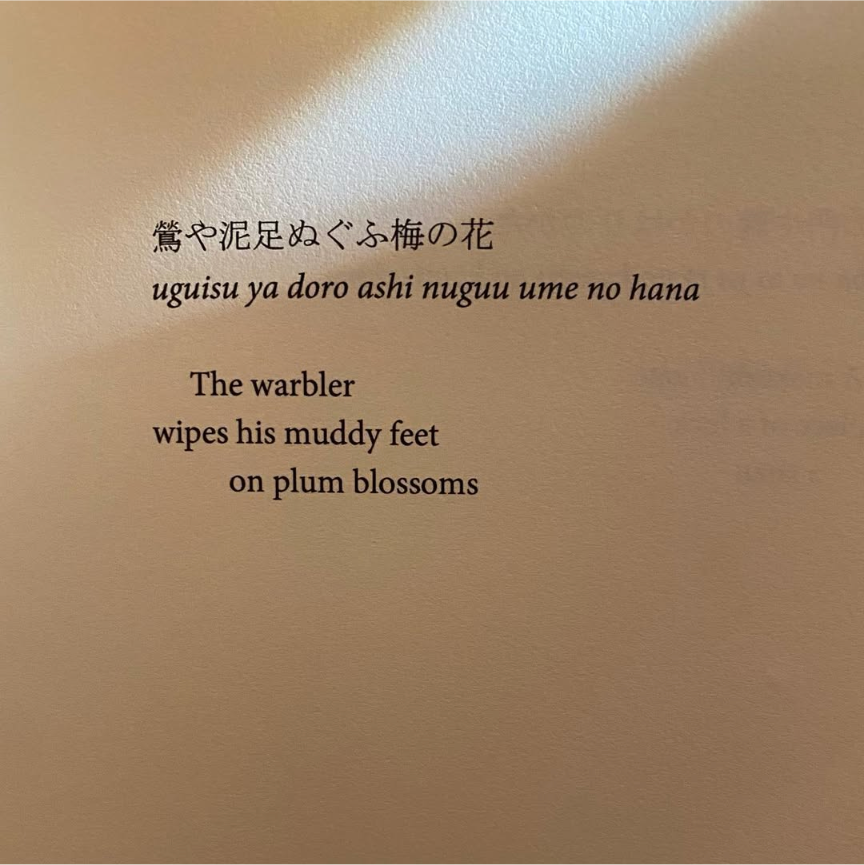 Heckedhead's tweet photo. @megannn_lynne I saw this by Kobayashi Issa (tr. Anthony Opal) earlier this week and have been thinking of it often since https://t.co/Bt27zJVhV5
