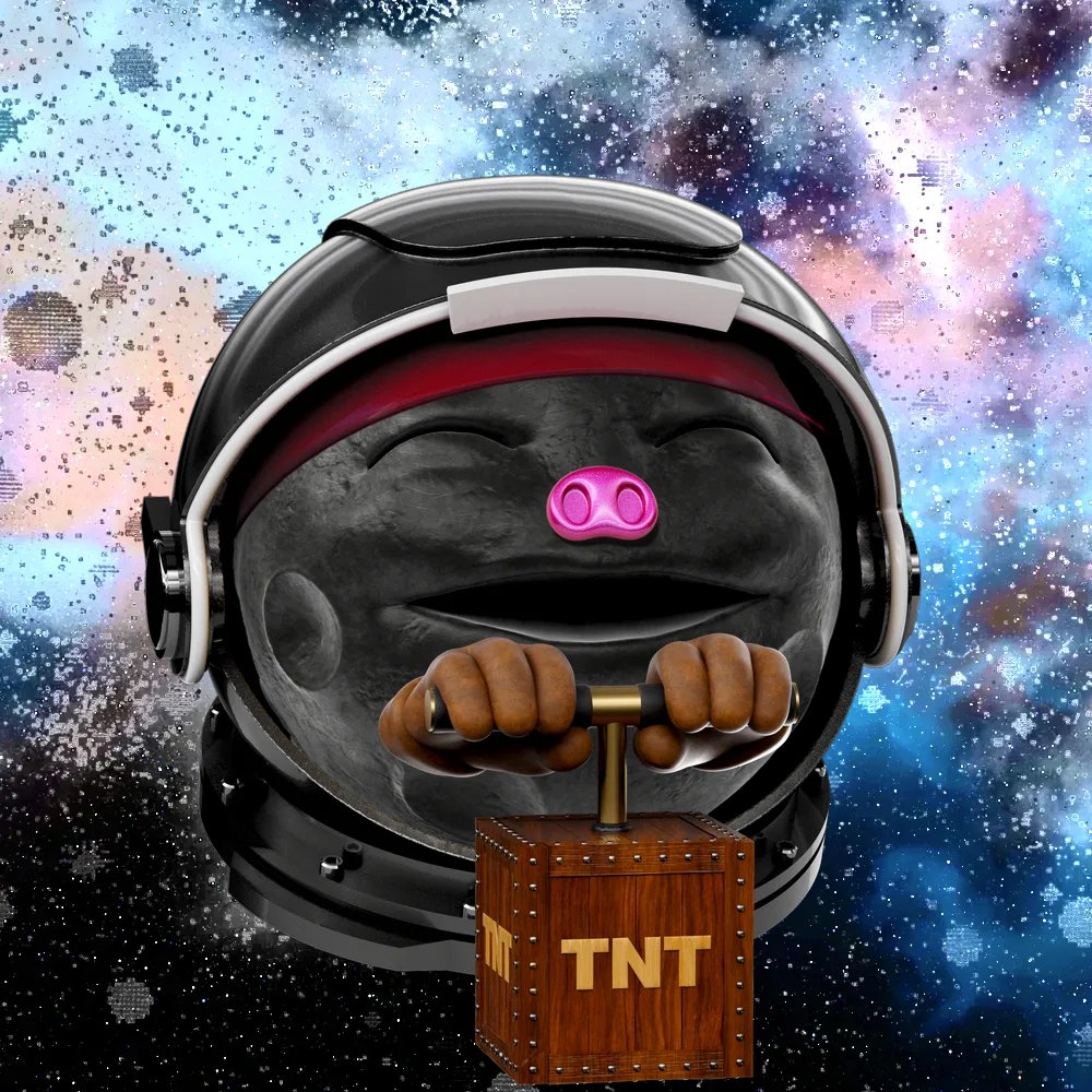 Brandon ₿uilder tweet media