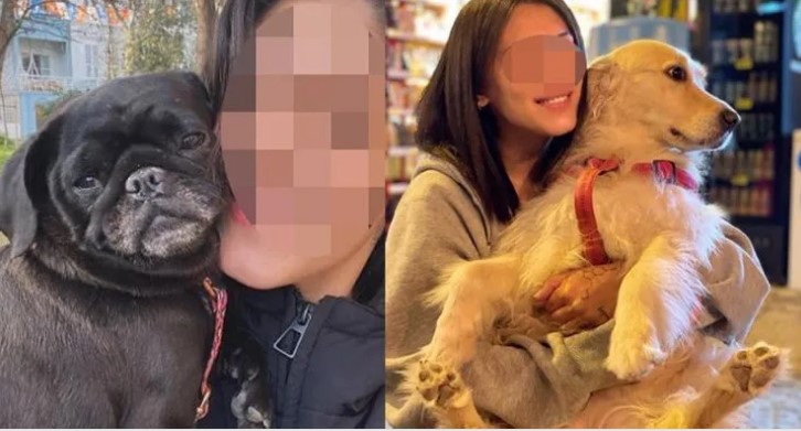 KÖPEK BENİM DEĞİL SADECE BESLİYORUM DEDİ  YARGILANMAKTAN KURTULAMADI.

Beslediği köpek bir çocuğu ısıran kadına Savcılık şüphelinin "Taksirle yaralamaya sebebiyet verme" suçundan yargılanmasına karar vererek, iddianame düzenleyerek, bir yıla kadar hapis cezası ile