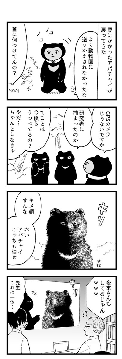つづき 