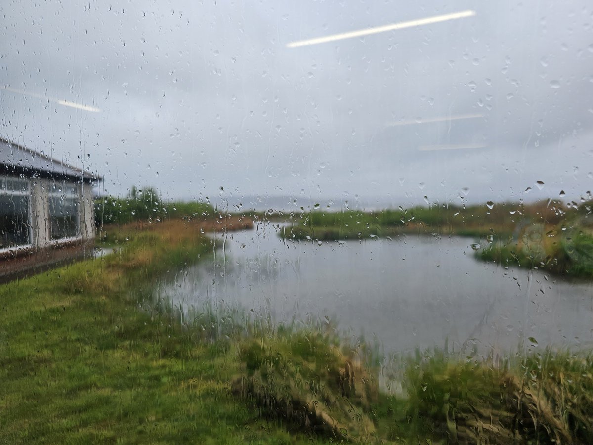 Lunchtime view from Llanelli