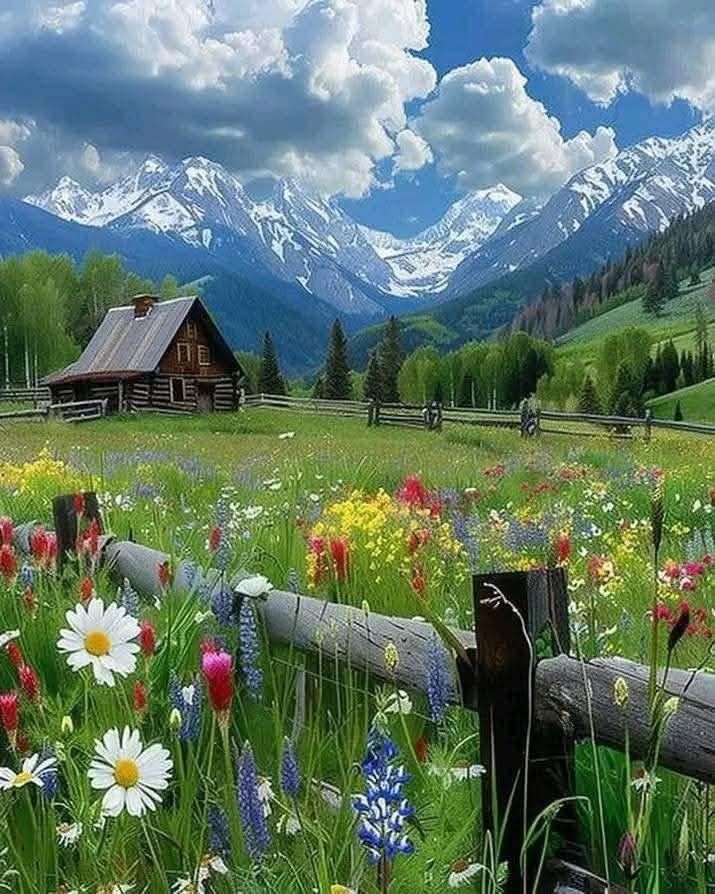 Hussein jafo (@husseinjafo) on Twitter photo <a href="/CrisBlu1/">๐CrisBlu๐</a> You have a good greeting, may God bless you, I was always waiting for your a post, thank you very much. I wish all happiness๐ <a href="/CrisBlu1/">๐CrisBlu๐</a> You have a good greeting, may God bless you, I was always waiting for your a post, thank you very much. I wish all happiness๐