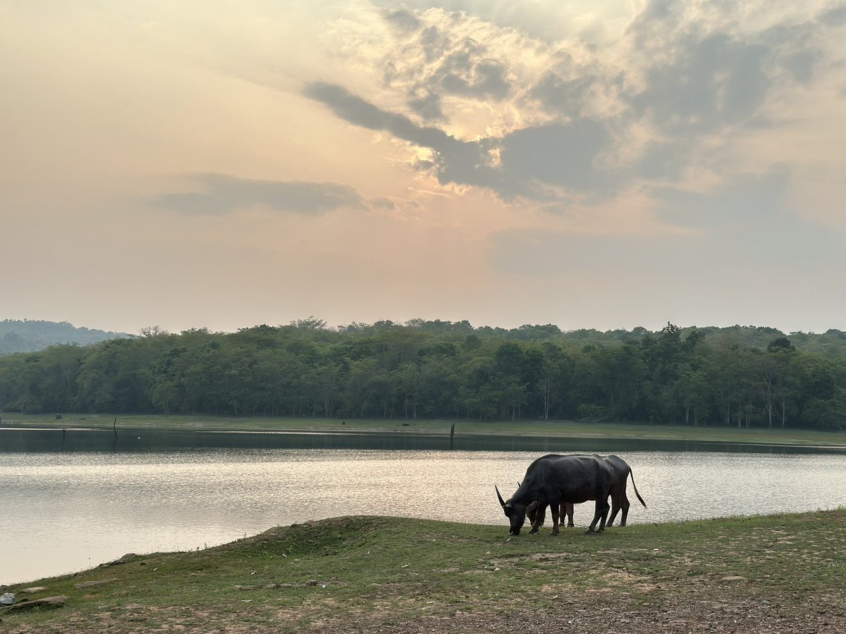 ”ไม่มีรางวัลสำหรับคนที่ชื่อสัตย์และตั้งใจรัก
มีแต่บทลงโทษให้กับคนที่ไม่รักตัวเองและยึดติด“

  จำเอาไว้นะ