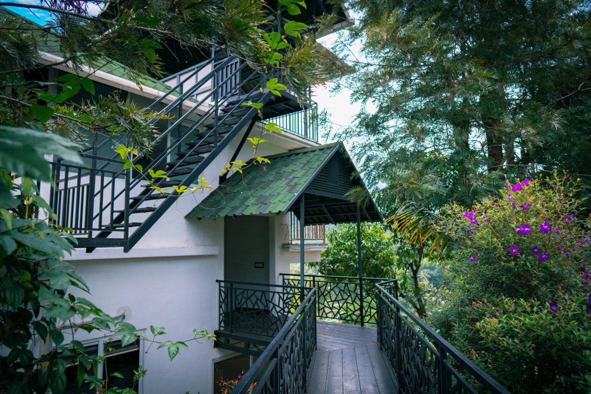 StarEmirates25's tweet photo. "Surrounded by nature’s beauty 🌸🌿

🌿 Live in the Heart of Nature at Star Emirates Luxury Resort &amp; Spa! 🌄✨
🌍 Discover the magic of Munnar with us! 🌿
📞 For Bookings &amp; Inquiries: +91 90618 48414
🌍 Website: https://t.co/2U22Yxvwoj https://t.co/kgVt2I0z40