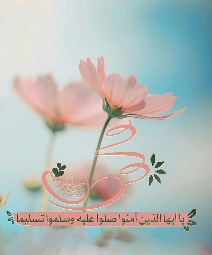 آية جوده ♡ (@ayaaswan93) on Twitter photo 