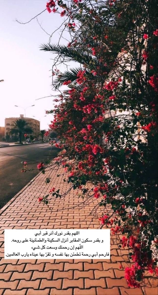 #امواتكم_بحاجه_الدعاء_لهم

اللهم ارحم أبي ومن عز علينا فراقهم ولم يبقى شيء يربطنا بهم غير الدعاء اللهم ارحم من فقدناهم وارحم موتانا وموتى المسلمين واغفر لهم وتجاوز عنهم واجمعنا بهم في جنات النعيم  ياارب🤍🌹

#يوم_الجمعة
 #جمعة_مباركة
 #ساعة_استجابة