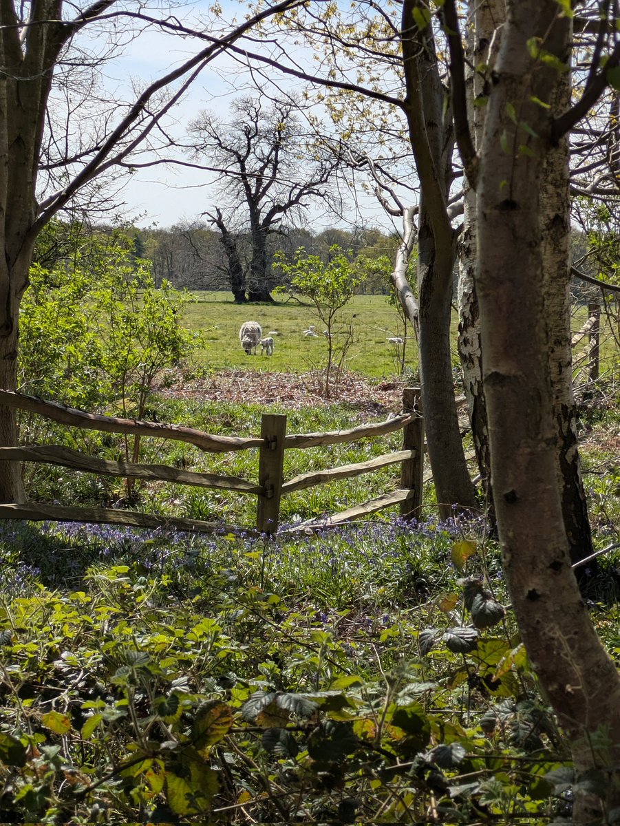 Good Friday blessings from #Norfolk